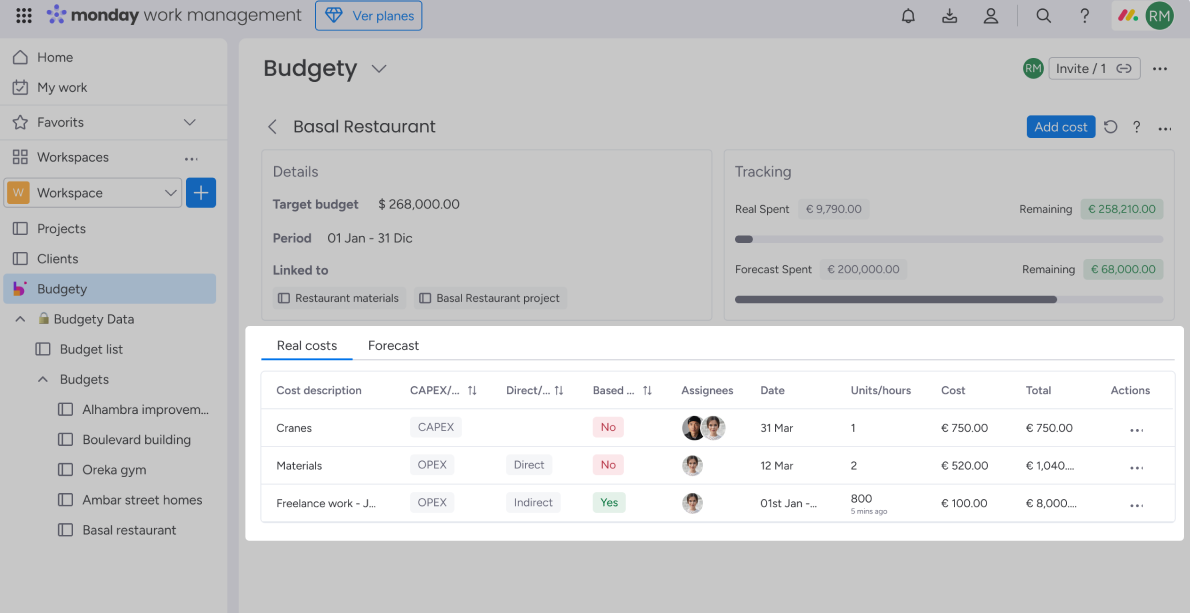 Budget-for-monday-Cost-categories-capex-opex_deiser-