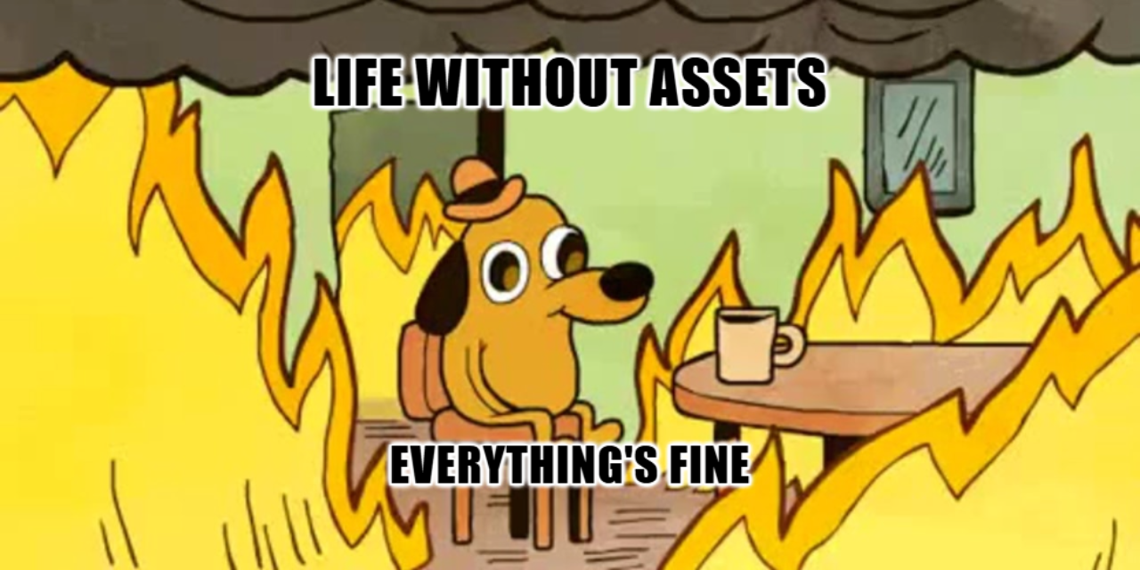 Life without Asset Management