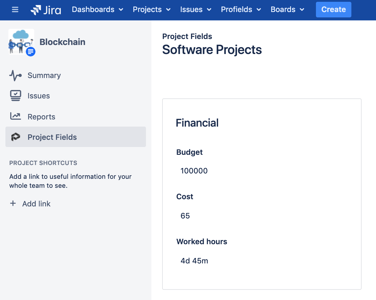 Project Layouts in Jira with Budgets, Costs, and total Worked Hours with Profields app